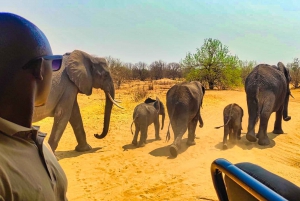 Victoria Falls: Savannah Adventures Game Drive with Lunch