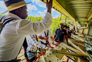 Victoriafälle: Flug, Brückentour & Sonnenuntergangsfahrt