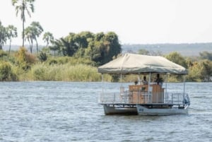 Chutes Victoria : Expérience pittoresque dans un village avec déjeuner-croisière