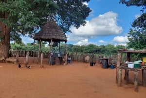 Chutes Victoria : Expérience pittoresque dans un village avec déjeuner-croisière