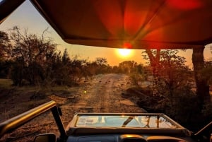 Victoria Falls: Game Drive or Safari for Single Riders