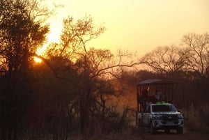 Victoria Falls: Single Traveller 4x4 Safari Deal