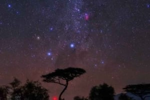 Victoria Falls: Southern Hemisphere Stargazing