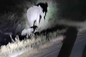 Victoria Falls: Stargazing Safari