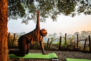 Victoria Falls: Sunrise Yoga Session with Breakfast