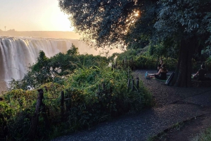 Victoria Falls: Sunrise Yoga Session with Breakfast