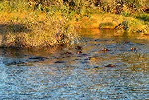 Victoria Falls: Sunset Cruise on the Zambezi River