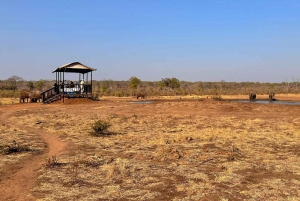 Victoria Falls: Sunset Cruise with 2 Shearwater Activities