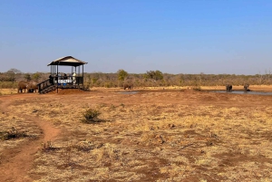Chutes Victoria : Croisière au coucher du soleil avec 2 activités Shearwater