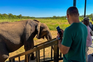 Chutes Victoria : Croisière au coucher du soleil avec 2 activités Shearwater