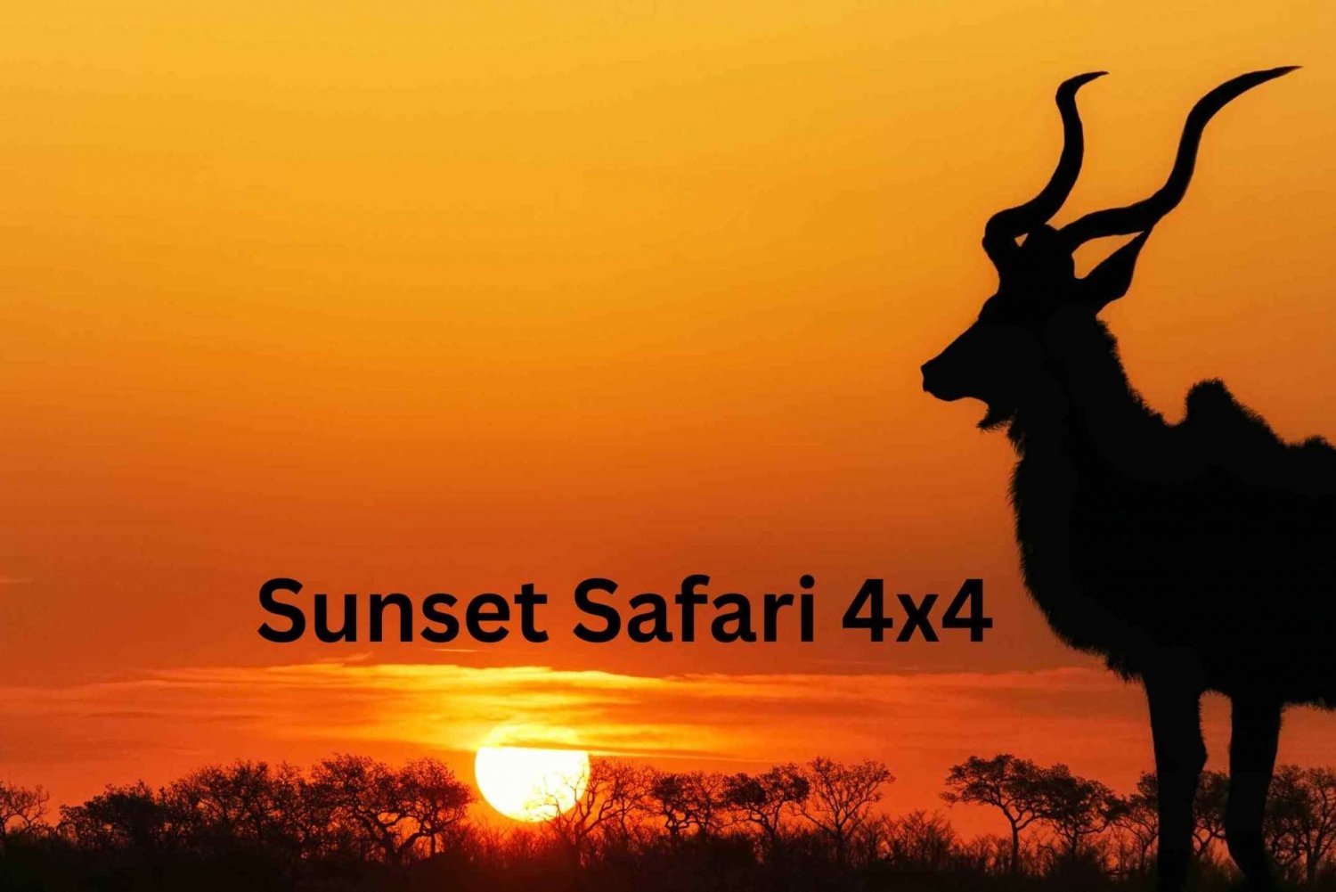 Victoria Falls: Sunset Safari 4x4