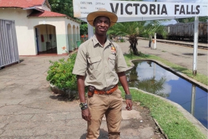 Victoria Falls: Sunset Safari + Tour of Victoria Falls Town
