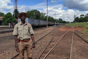 Victoria Falls: Sunset Safari + Tour of Victoria Falls Town