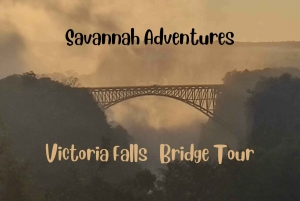 Victoria Falls: The view of the Falls and Historic Bridge