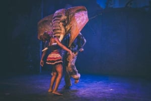Victoria Falls: Theatre Simunye The Spirit of Africa,Zimbabwe