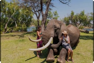 Victoria Falls: Through the eye of an elephant