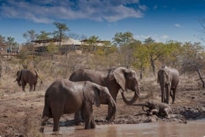 Victoria Falls: Through the eye of an elephant