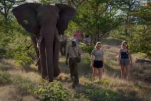 Victoria Falls: Through the eye of an elephant