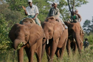 Victoria Falls: Through the eye of an elephant