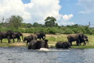 From Victoria Falls to Chobe National Park, Safari Adventure