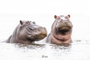 From Victoria Falls to Chobe National Park, Safari Adventure