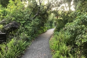 Victoria Falls: Tour of the Falls