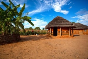 Victoria Falls: Traditional Village Tour