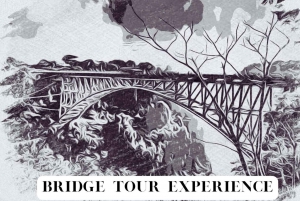 Victoria Falls: Vic Falls Bridge Tour