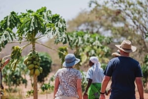 Victoria Falls: Landsbyopplevelse med luksuscruise og lunsj