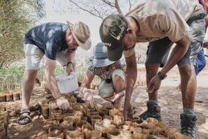 Victoria Falls: Landsbyopplevelse med luksuscruise og lunsj
