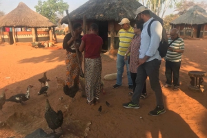 Victoria Falls: Village Life Experience