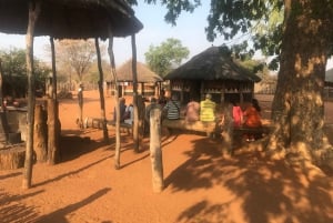 Victoria Falls: Village Life Experience