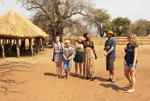 Victoria Falls: Village Life Experience