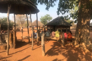 Victoria Falls: Village Life Experience