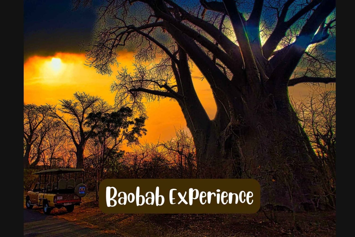 Cataratas Victoria: Safari con buitres y paseo por la sabana