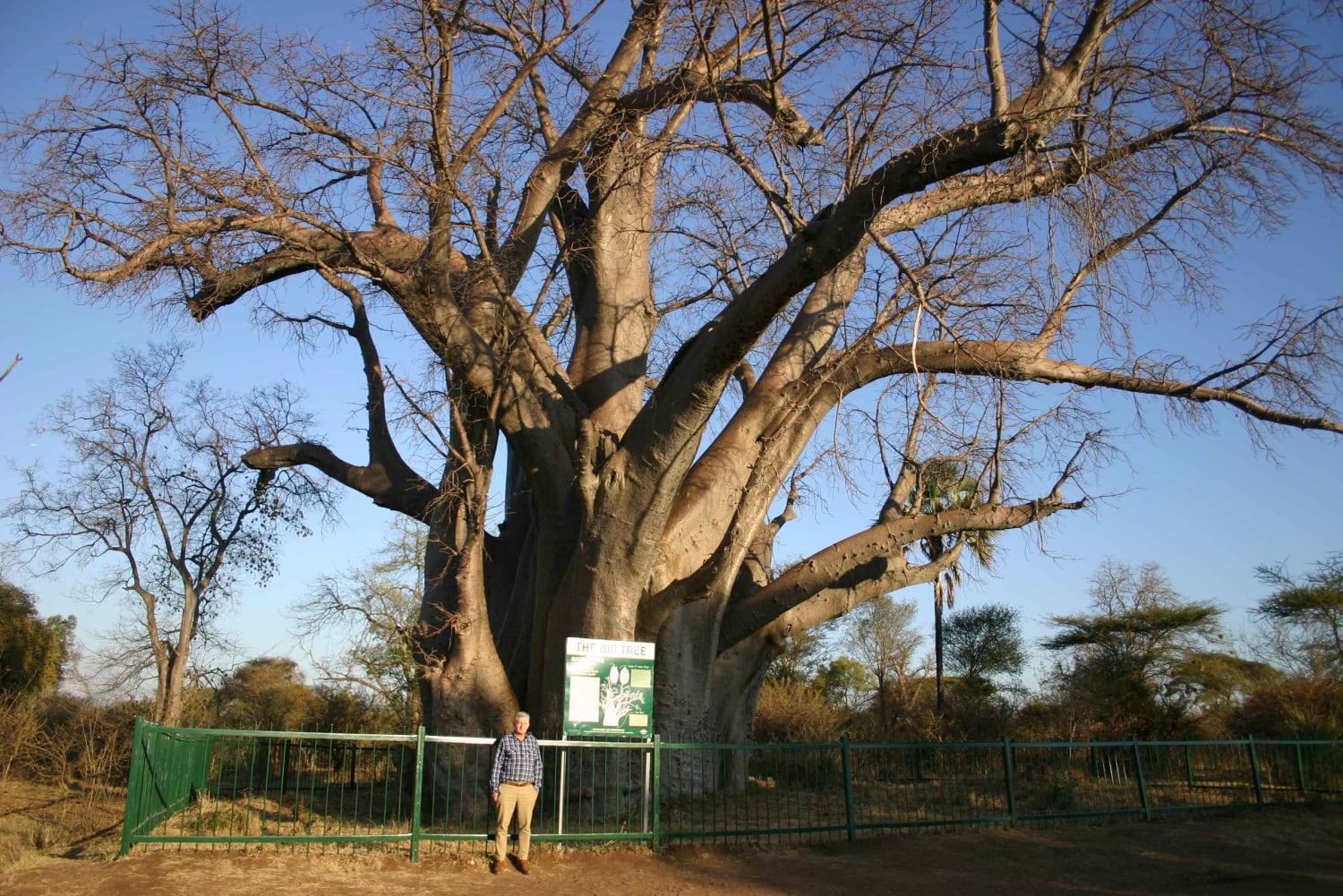 Cataratas Victoria: Safari con buitres y paseo por la sabana