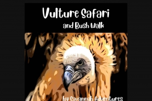 Victoria Falls: Vulture Safari and Bush Walk