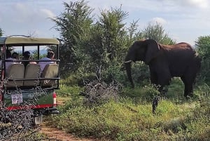 Cataratas Victoria: Safari con buitres y paseo por la sabana