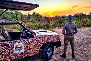 Cataratas Victoria: Safari con buitres y paseo por la sabana