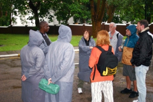 Victoria Falls, Vulture Safari, Bushwalk and Bridge Tour