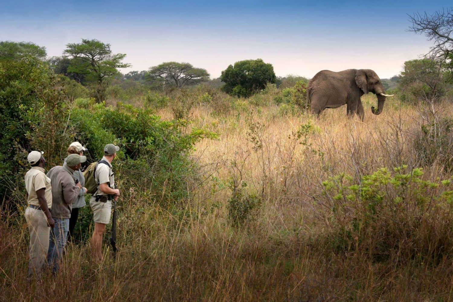 Victoria Falls: Walking Safari