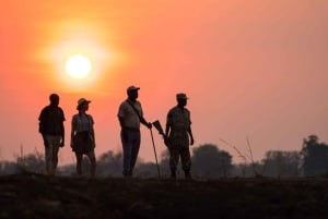 Victoria Falls: Walking Safari