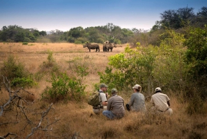 Victoria Falls: Walking Safari