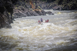 Victoria Falls: Whitewater Rafting Experience