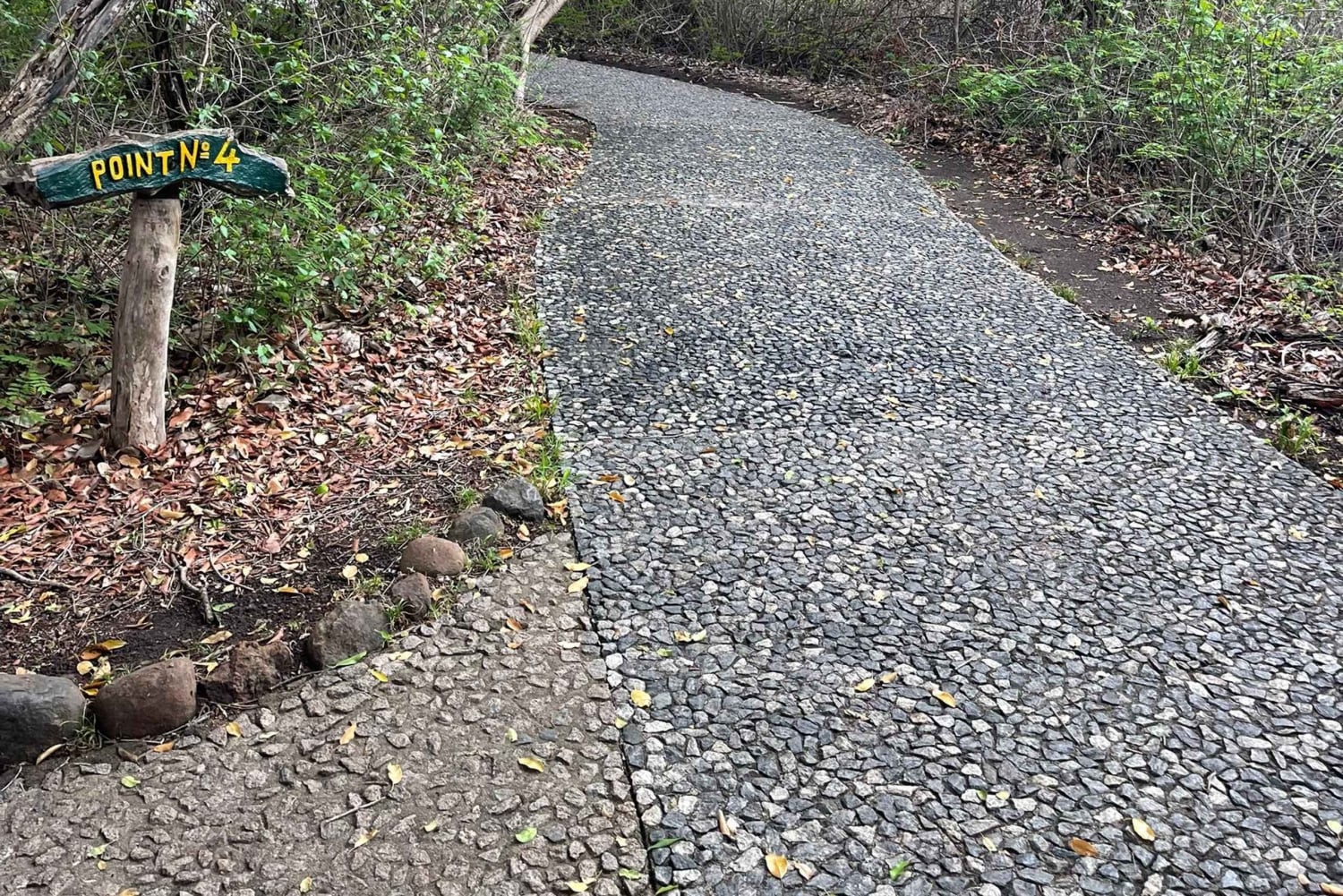 Cataratas Victoria: tour a pie guiado