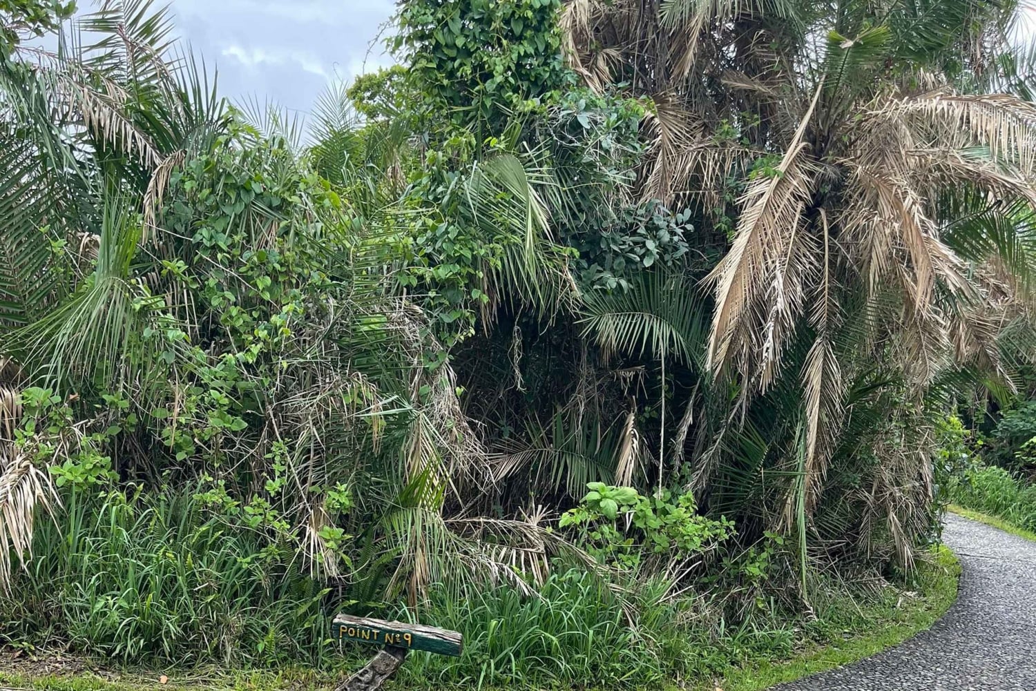 Cataratas Victoria: tour a pie guiado