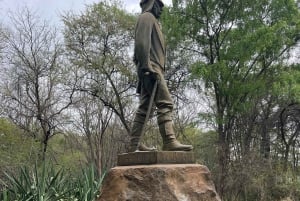 Cataratas Victoria: tour a pie guiado