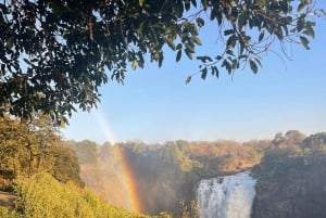Cataratas Victoria: tour a pie guiado