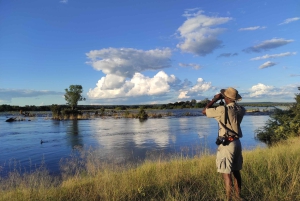 Victoria Falls : Safari en voiture dans le Zambèze