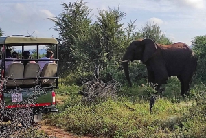 Victoria Falls: Zambezi National Park Game Drive ,Transfer